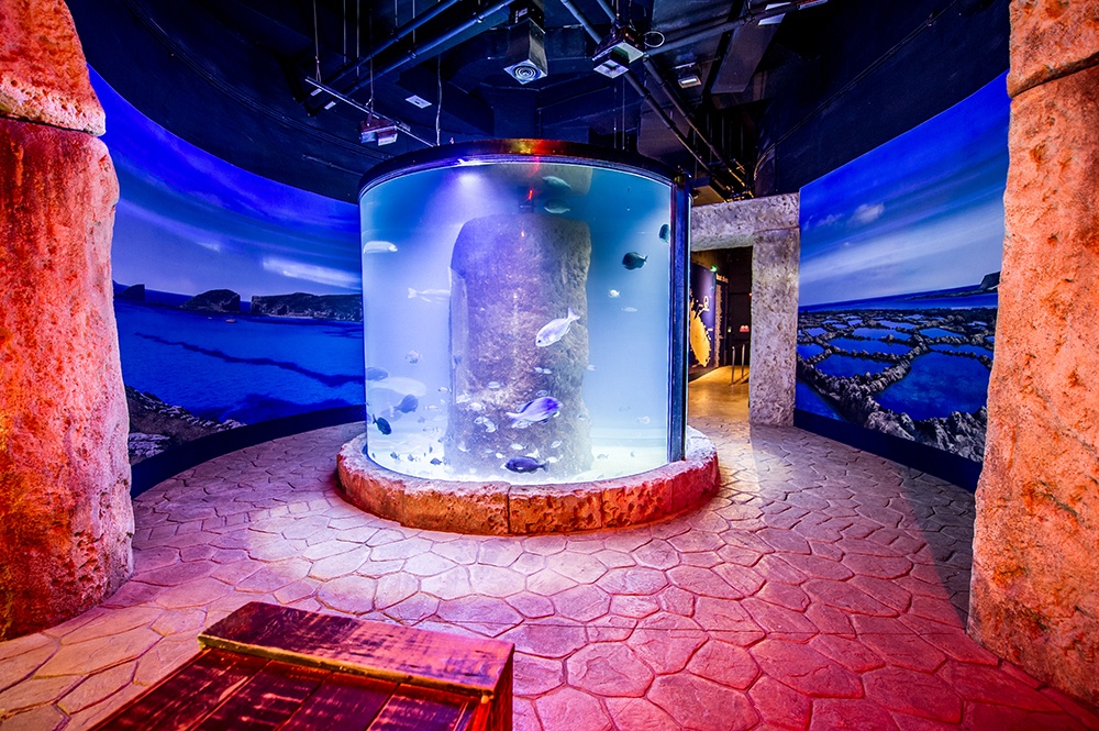Children parties at Malta National Aquarium
