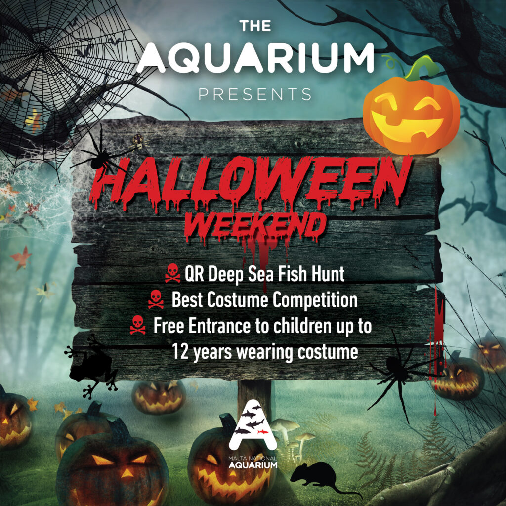 Halloween Weekend event poster